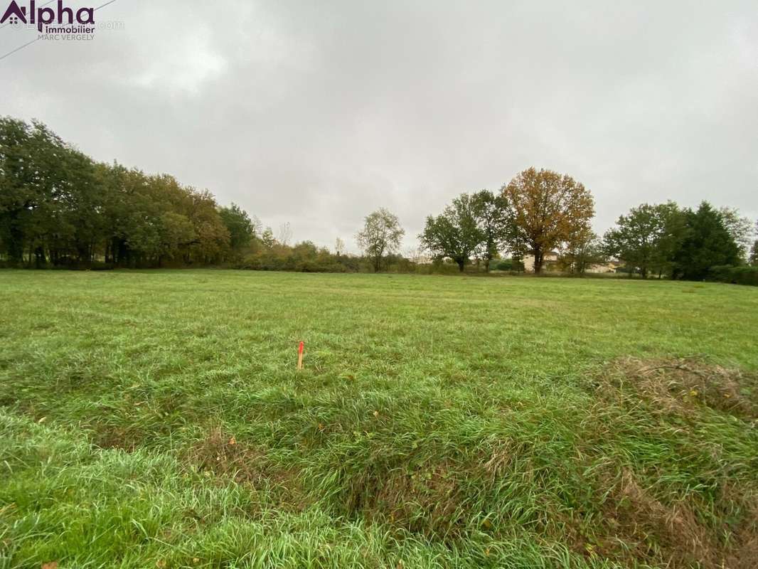 Terrain à SAINT-ETIENNE-DE-TULMONT