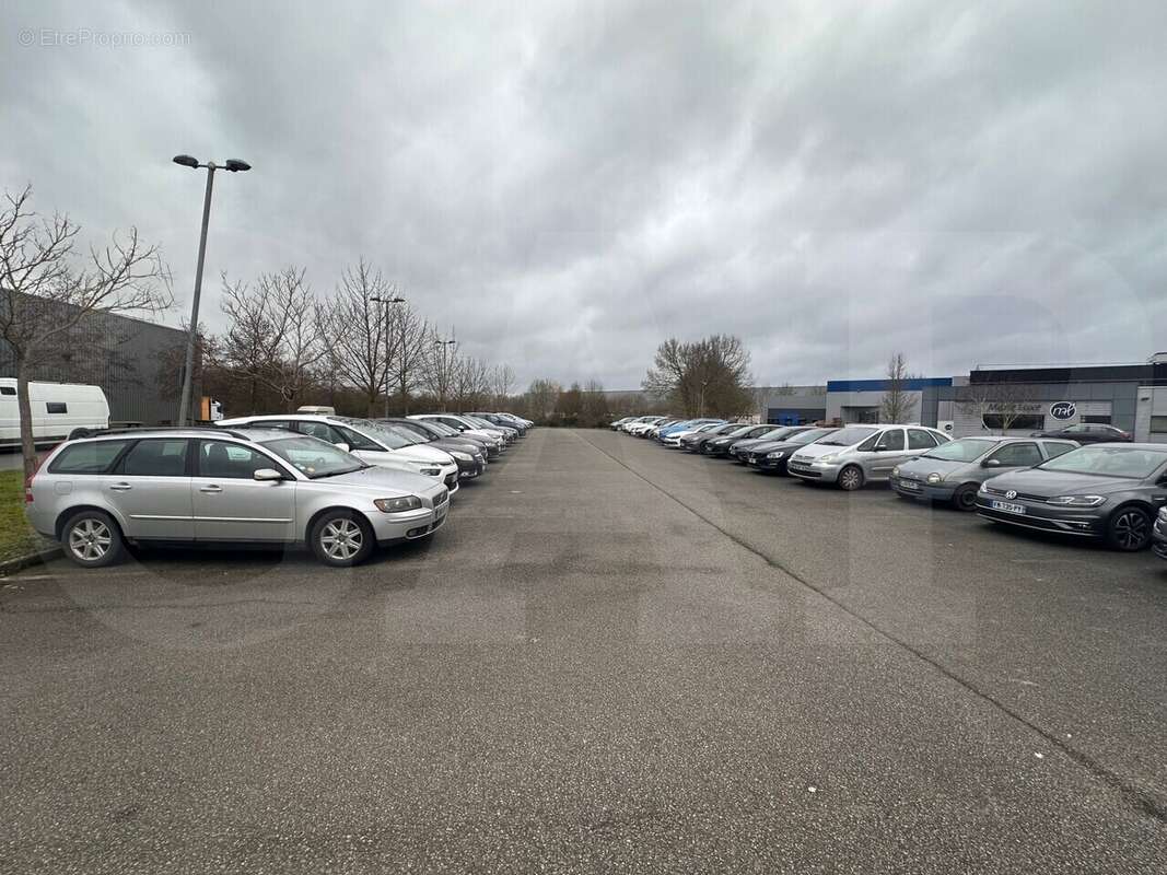 Autre à LE RHEU