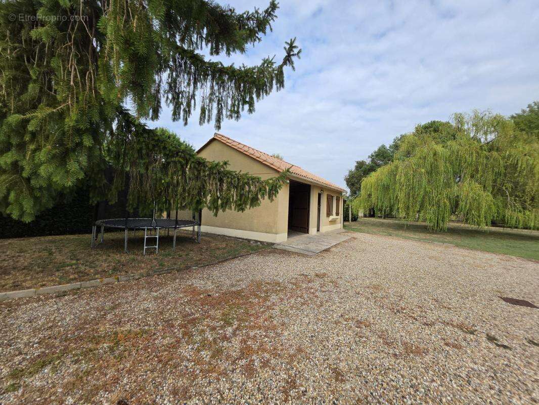 Maison À Vendre - photo 17