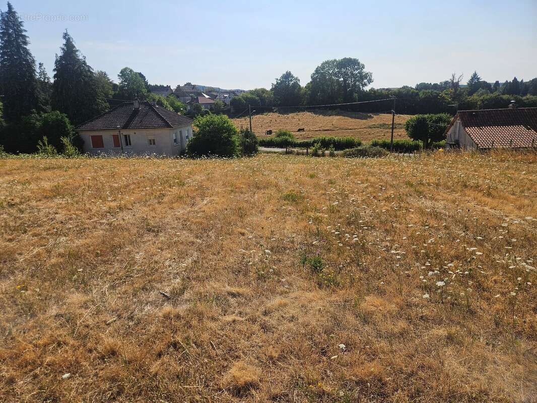 Terrain 1393 m² à Chateauneuf-La-Foret  - photo 6