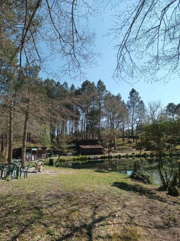 Maison à VILLANDRAUT