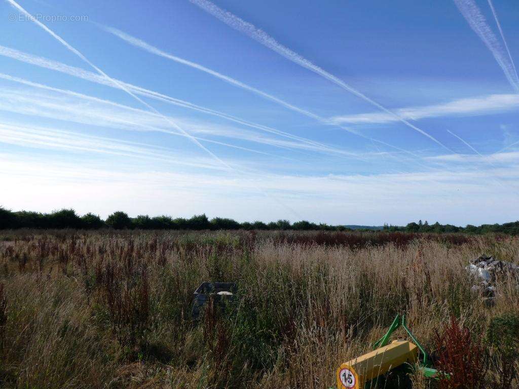 Commerce 200 m² à Saint-Caradec-Tregomel  - photo 5