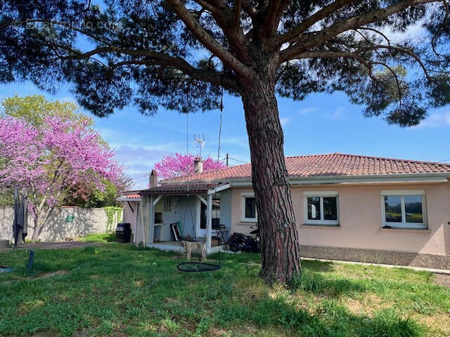Maison à SAUBENS