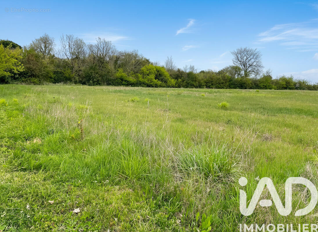 Photo 1 - Terrain à LAFOX