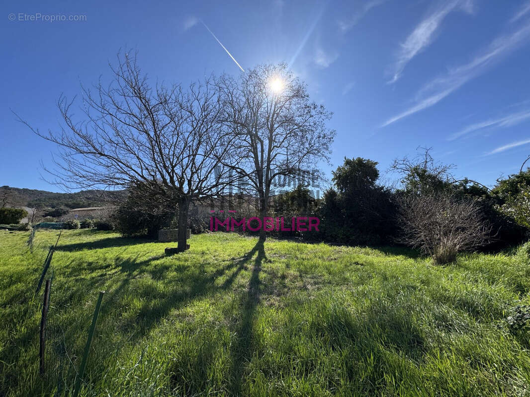 Terrain à UCHAUX