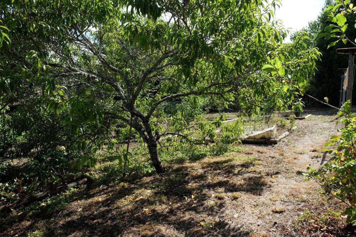 Maison à SAVIGNAC-LEDRIER