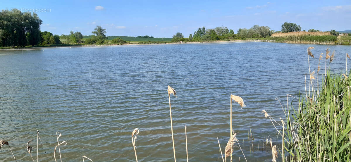 Terrain à VIGNEULLES-LES-HATTONCHATEL