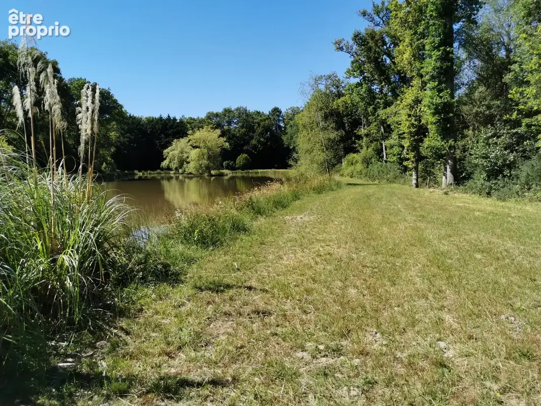 Terrain 11 000 m² à vendre à Dinge (35440) - photo 6