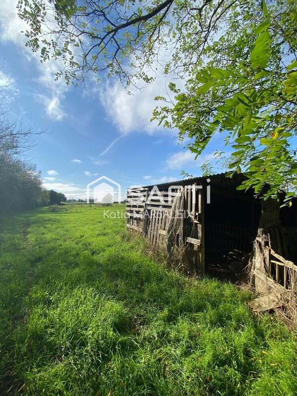 Photo 2 - Maison à NEUVY-SAINT-SEPULCHRE