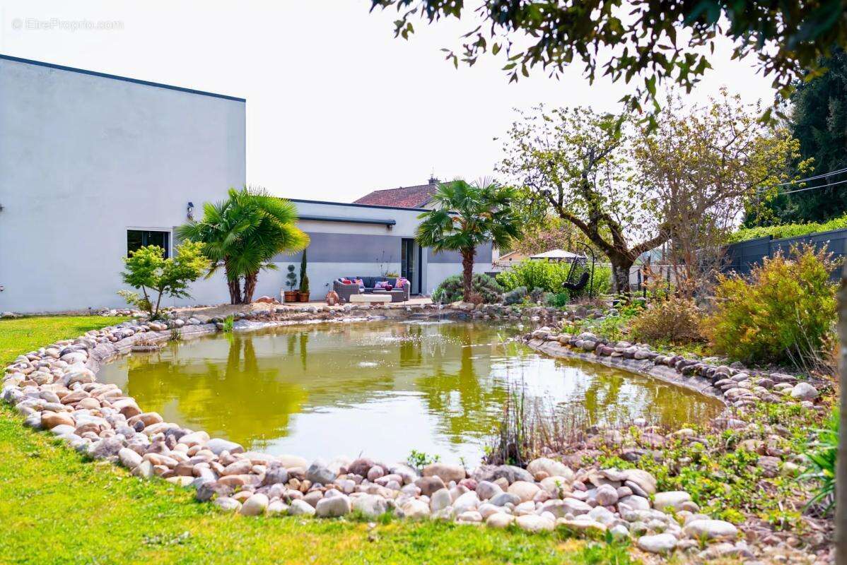 Maison à DOMPIERRE-SUR-VEYLE