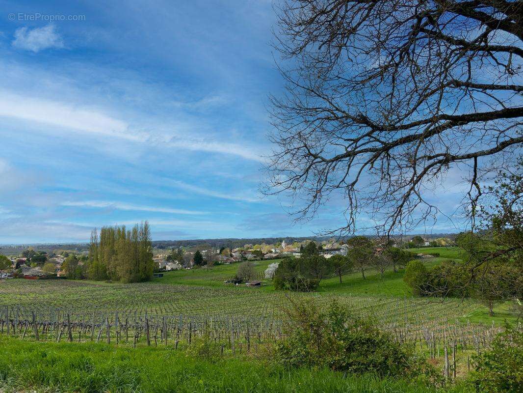 Terrain à LUGON-ET-L'ILE-DU-CARNAY