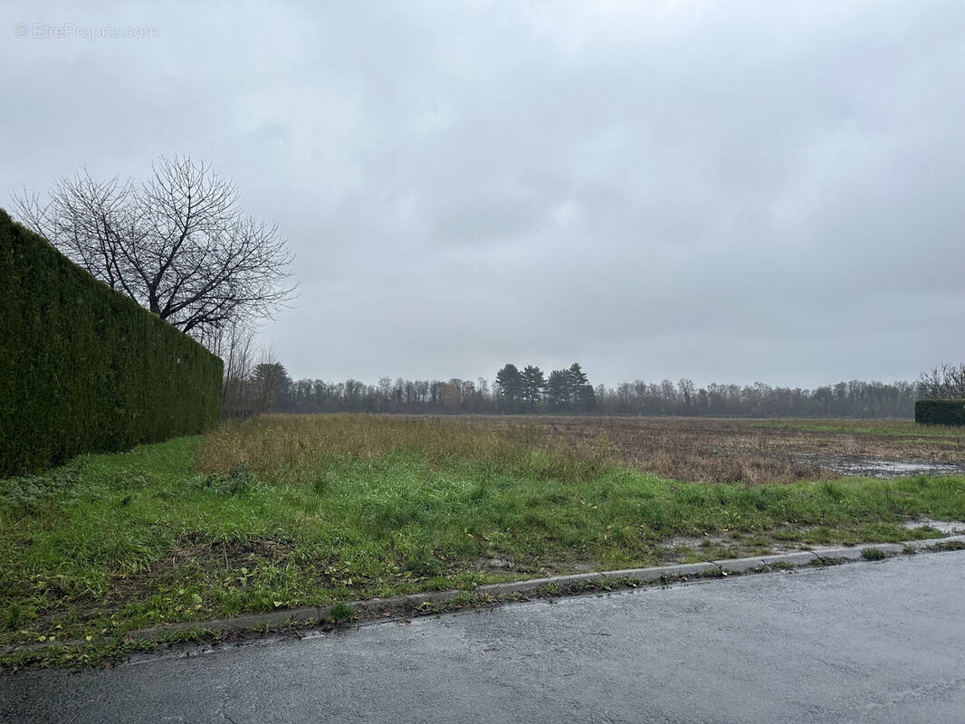 Terrain à ONNAING