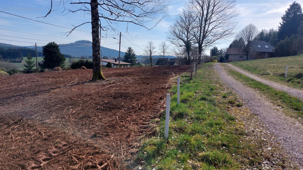 Terrain à BOURG-BRUCHE