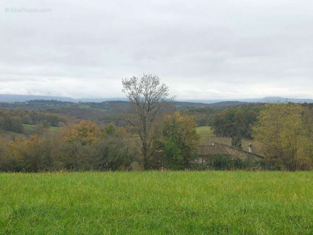 20241118135912 - Maison à SALIES-DU-SALAT