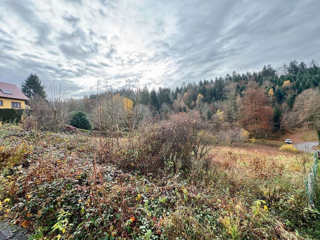 Terrain à SOLBACH