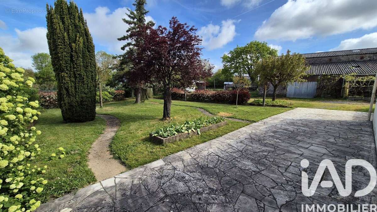 Photo 3 - Maison à CHOLET