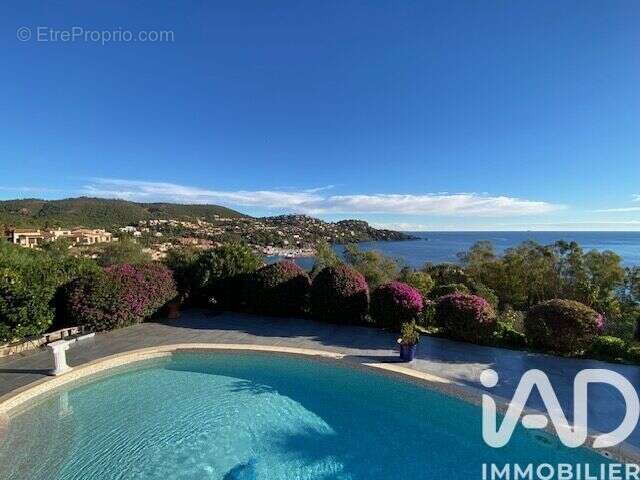 Photo 2 - Maison à LA SEYNE-SUR-MER