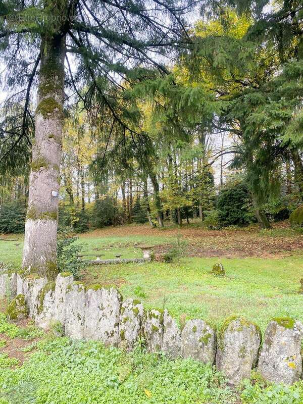 Photo 7 - Maison à LACROUZETTE