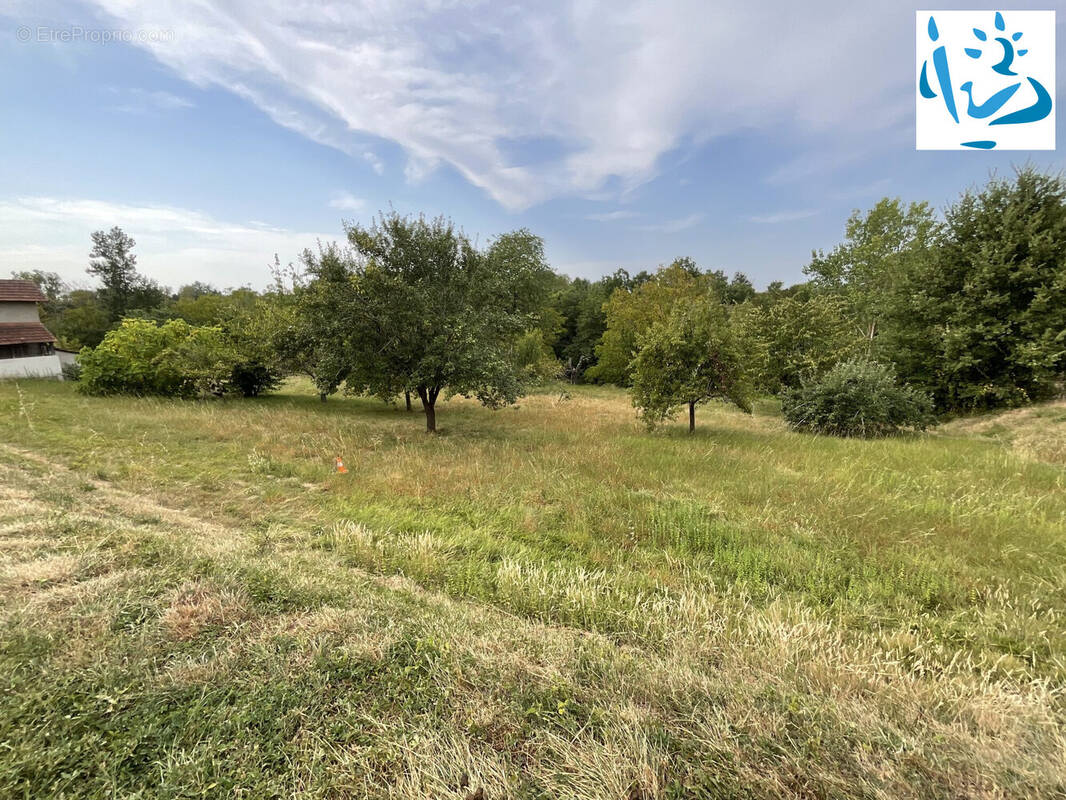 Terrain à SAINT-SARDOS