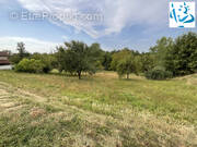 Terrain à SAINT-SARDOS