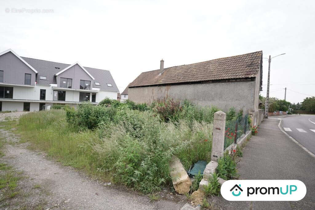 Terrain à HIRTZFELDEN