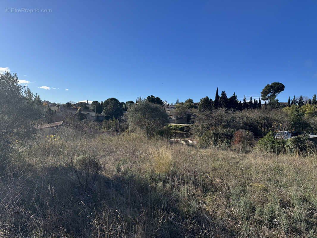 Terrain à SAINT-JEAN-DE-FOS