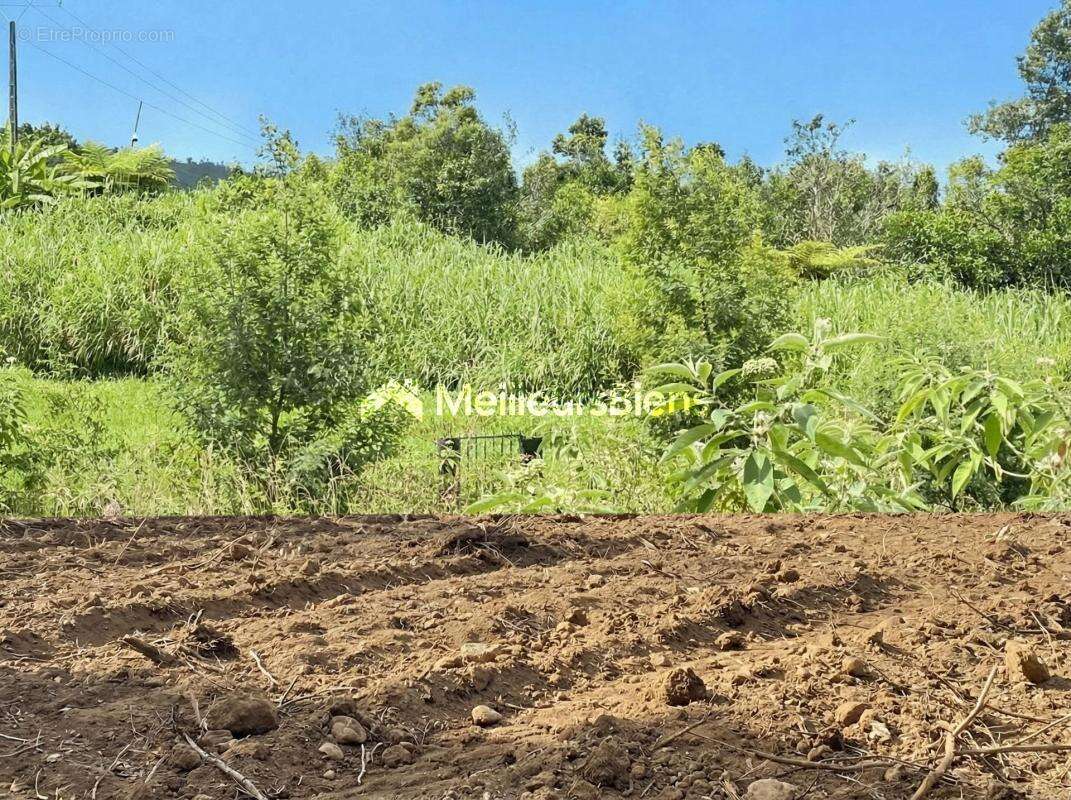 Terrain à SAINT-JOSEPH