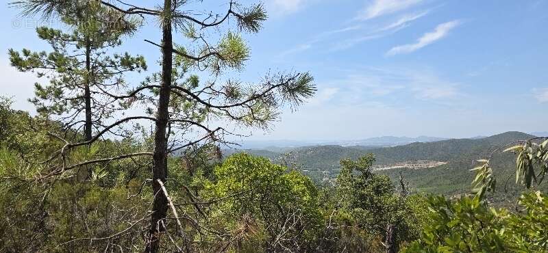Terrain à BORMES-LES-MIMOSAS