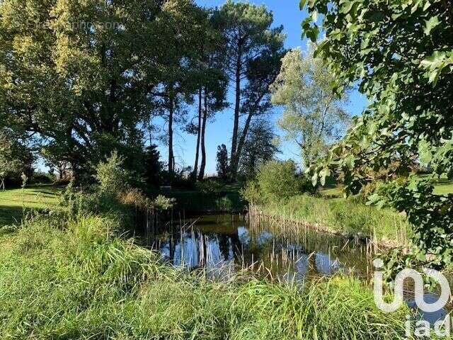 Photo 6 - Maison à MOULIETS-ET-VILLEMARTIN