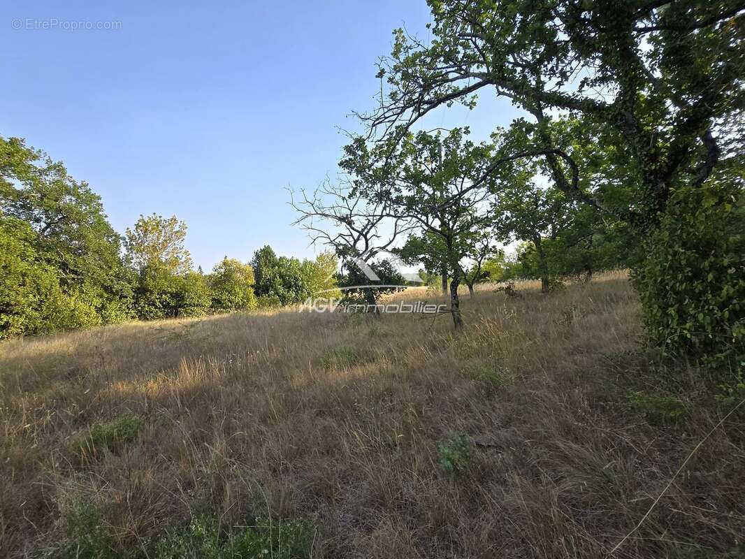 Environ 7000 m² de terrain constructible + maison - photo 2