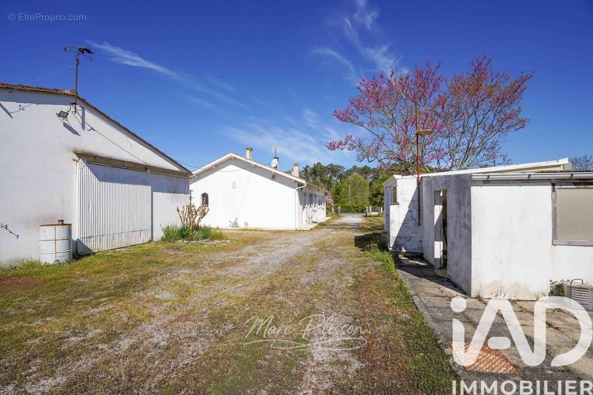 Photo 1 - Maison à CISSAC-MEDOC
