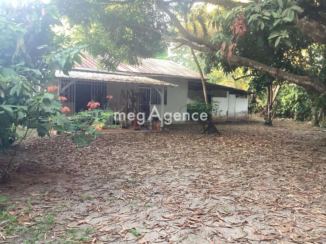 Maison à CAYENNE
