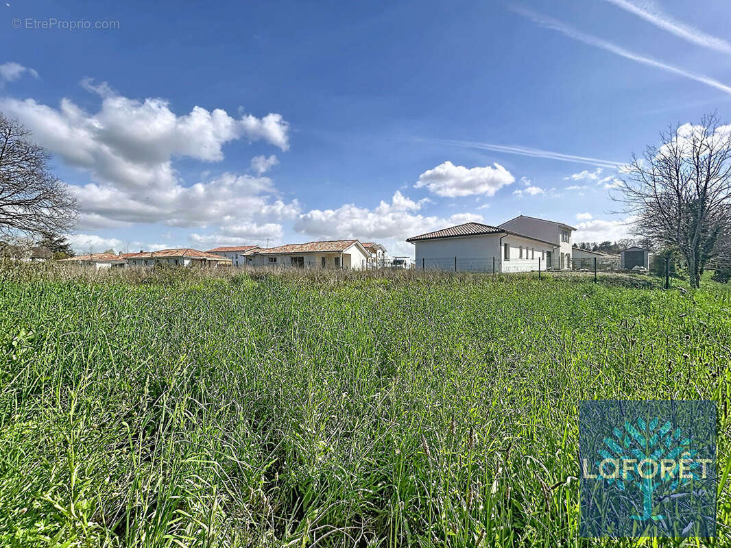 Terrain à SAINT-GEOURS-DE-MAREMNE