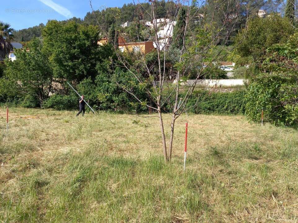 Terrain à SOLLIES-TOUCAS