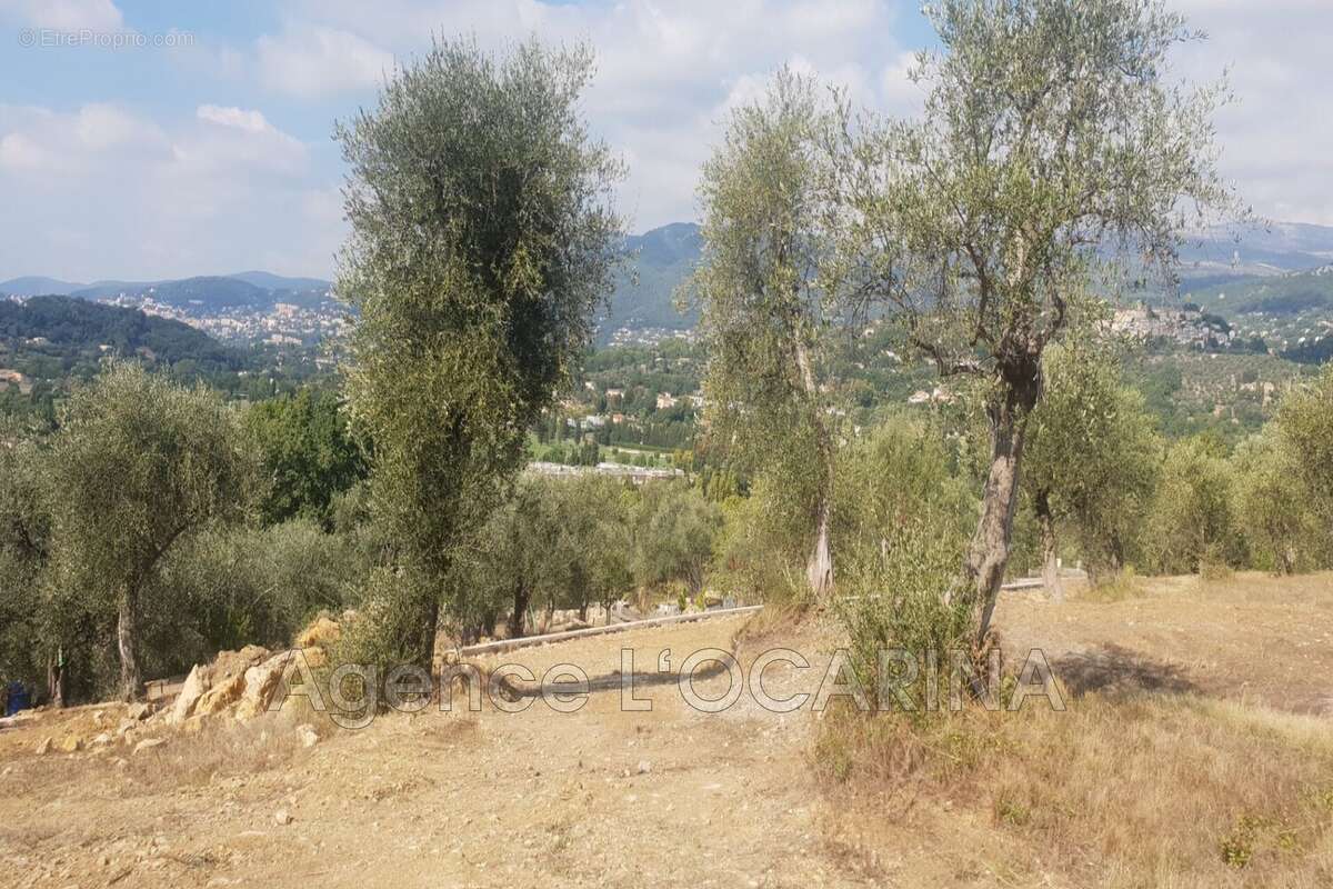 Terrain à OPIO