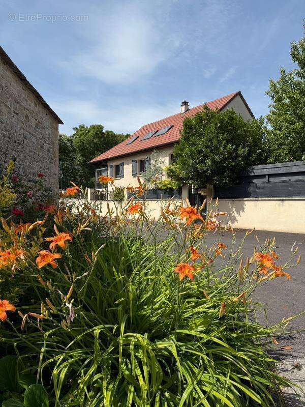 Maison à VOUGEOT