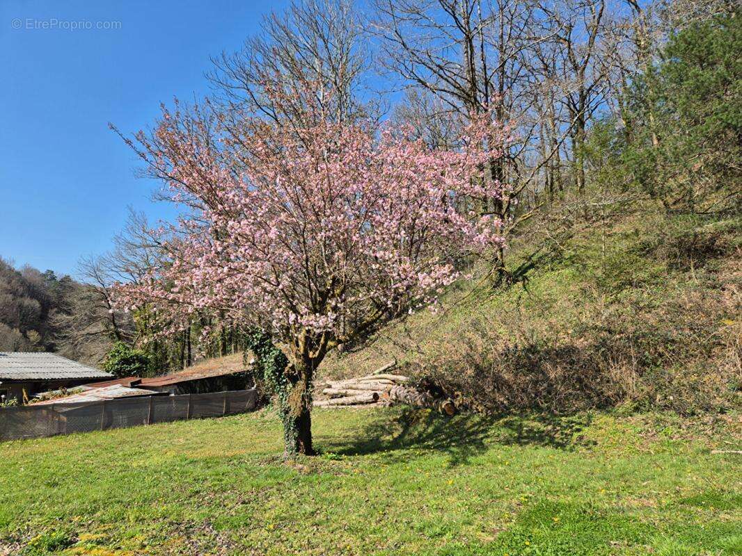 Maison Saint Chamant 4 pièce(s) 90 m2 - photo 8