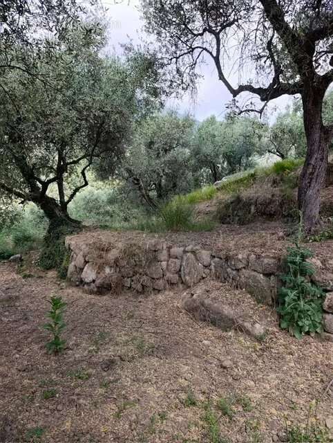 Terrain à COARAZE