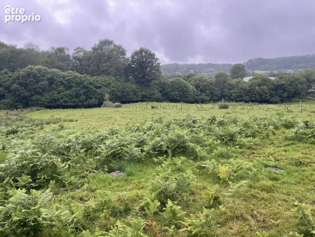 Razès terrain constructible 15 000 m2 - photo 2