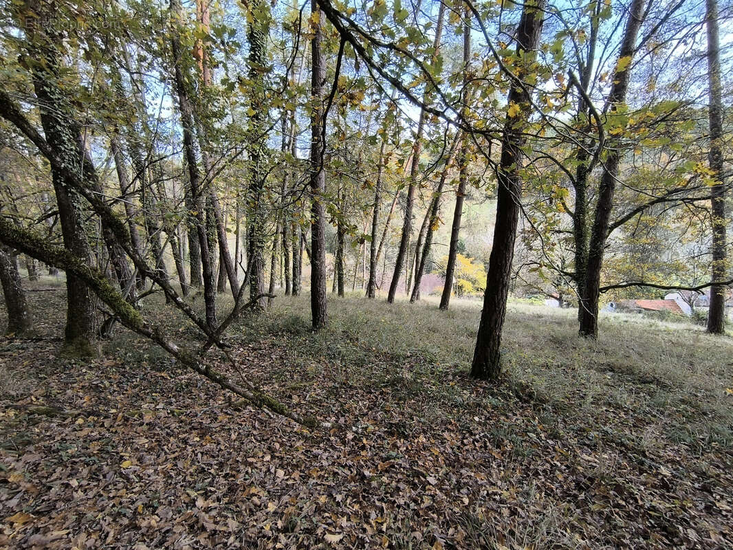 Maison à CHANCELADE