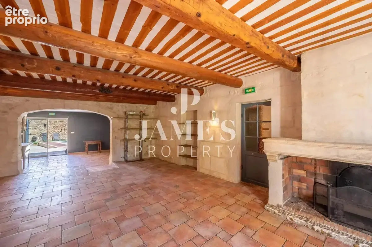 Maison 7 pièces 295 m² à vendre à Fontvieille (13990) - photo 4
