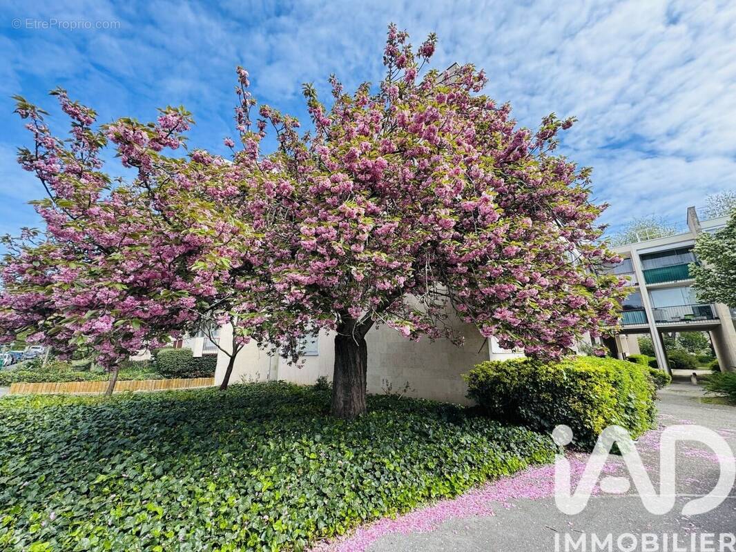 Photo 1 - Appartement à MASSY