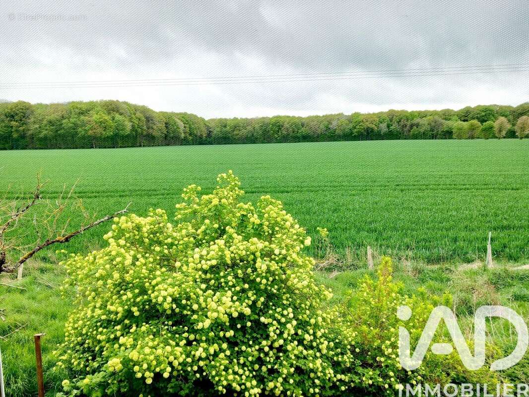 Maison 86 m² à Brunelles  - photo 4