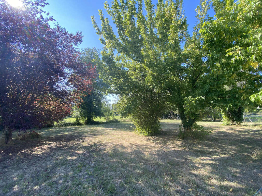 Maison de ville avec dépendances et jardin. Commerces à pied. Affaire rare. - photo 3