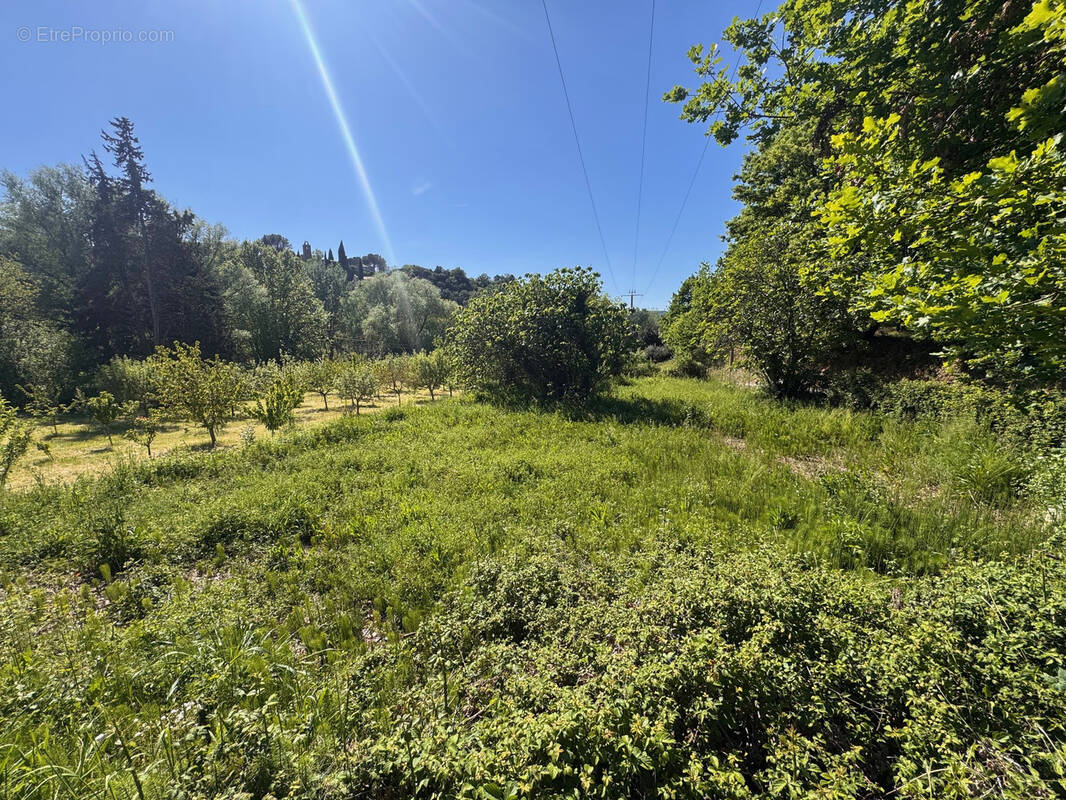 Terrain à PUYMERAS