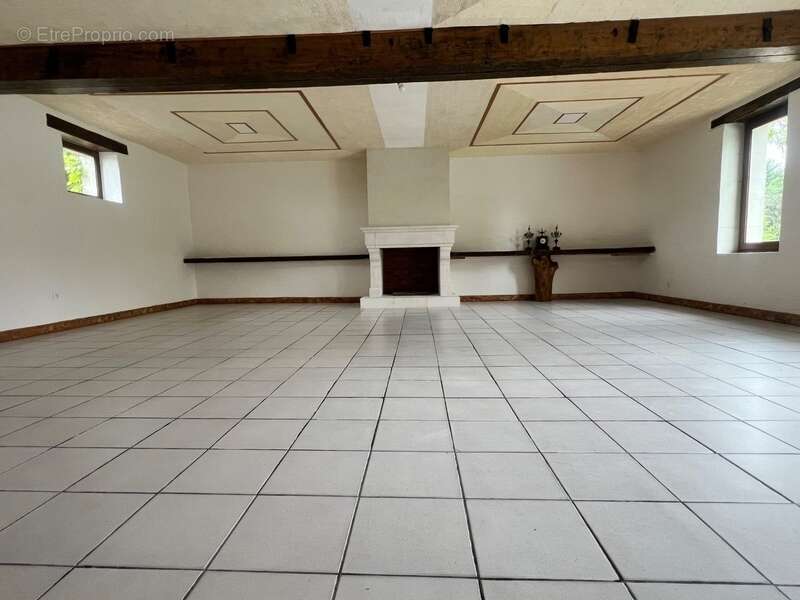 Propriete d’exception aux portes de la Touraine - 375m2 - 3 hectares - photo 4