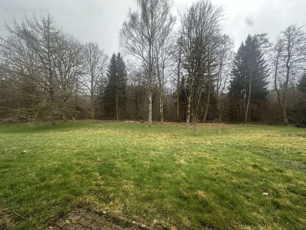 Maison à SAINT-DIE-DES-VOSGES