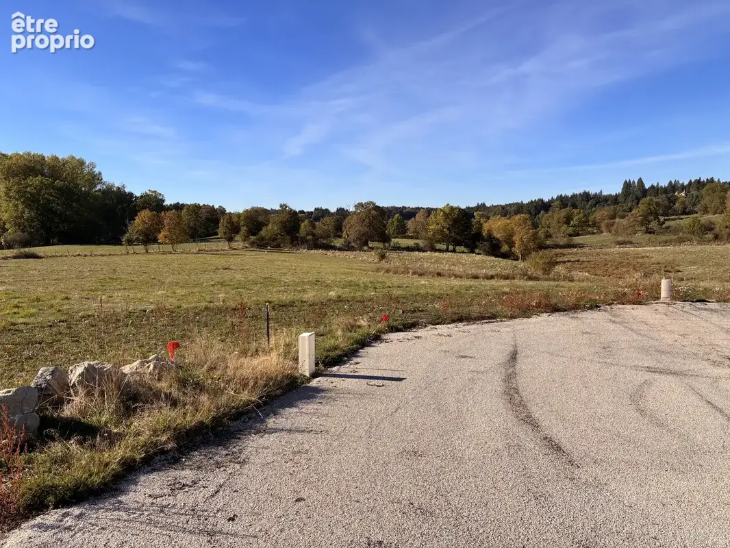 Terrain constructible viabilisé et loti - proche yssingeaux - photo 7