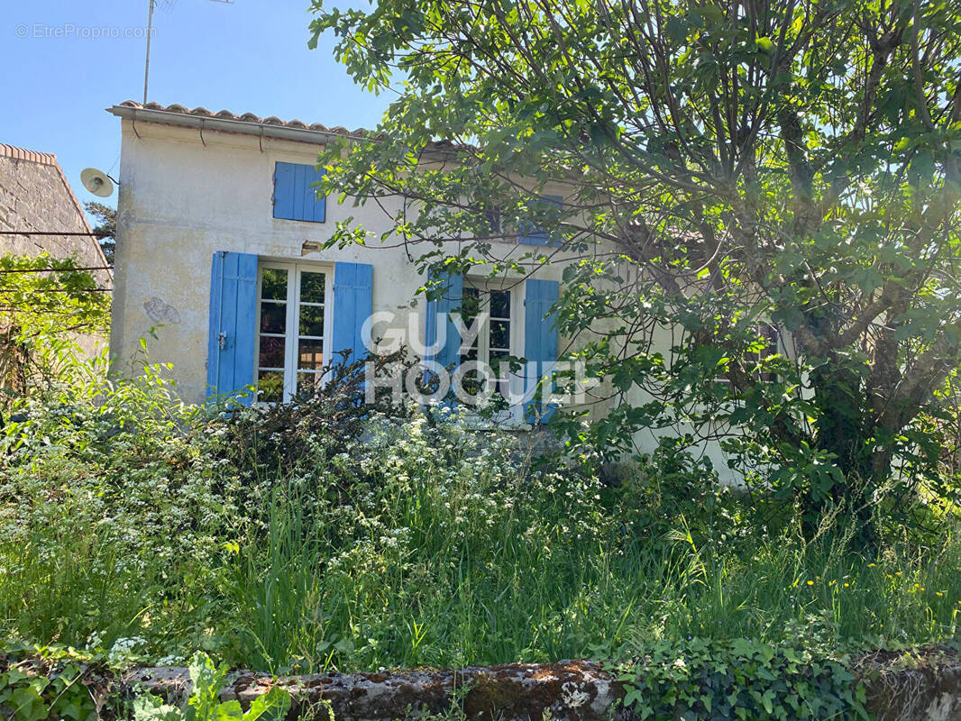 Maison à SAINT-EMILION