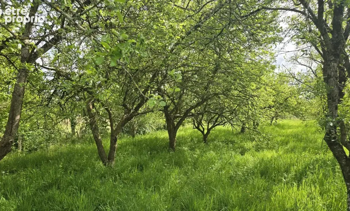 PRÉCIGNÉ   Terrain de loisirs / verger de plus de 1 800 m2 - photo 2